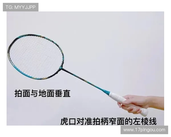 羽毛球配合全解析从零基础到竞技水平的全面指南