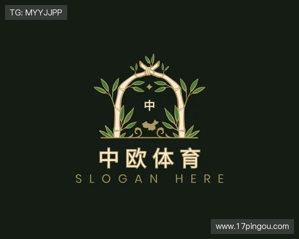 解读zoty中欧